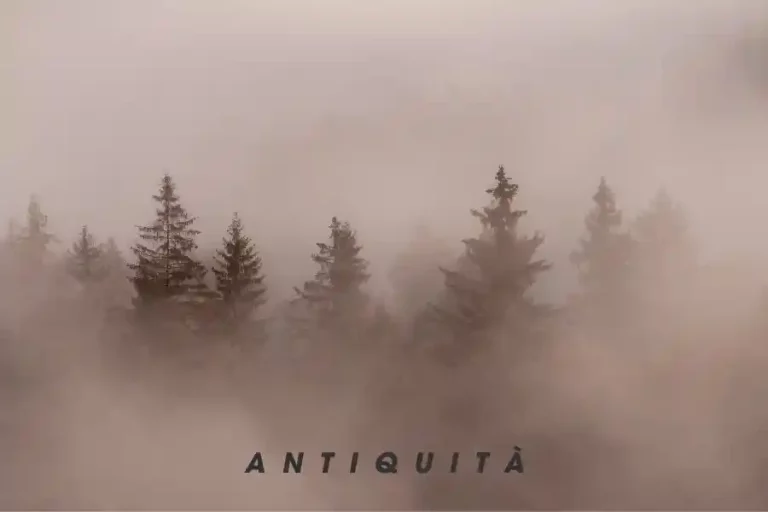 Antiquità: Unveiling the Beauty of the Past